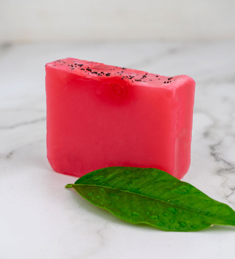 Vintage Sicilian Water-Repellent Travel Soap Holder