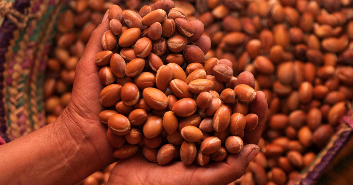 Bottiglia di olio di argan biologico puro da Marrakech per cosmesi naturale