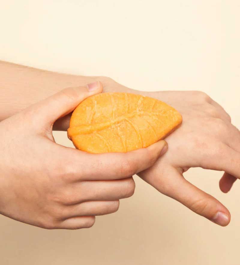 Pochette da Viaggio Palma Reale